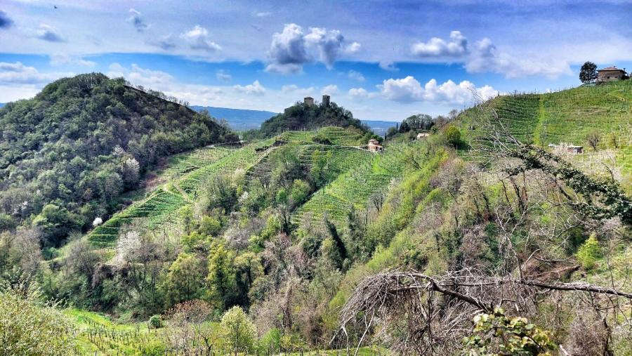 Agriturismo Al Credazzo Farra di Soligo Exteriör bild