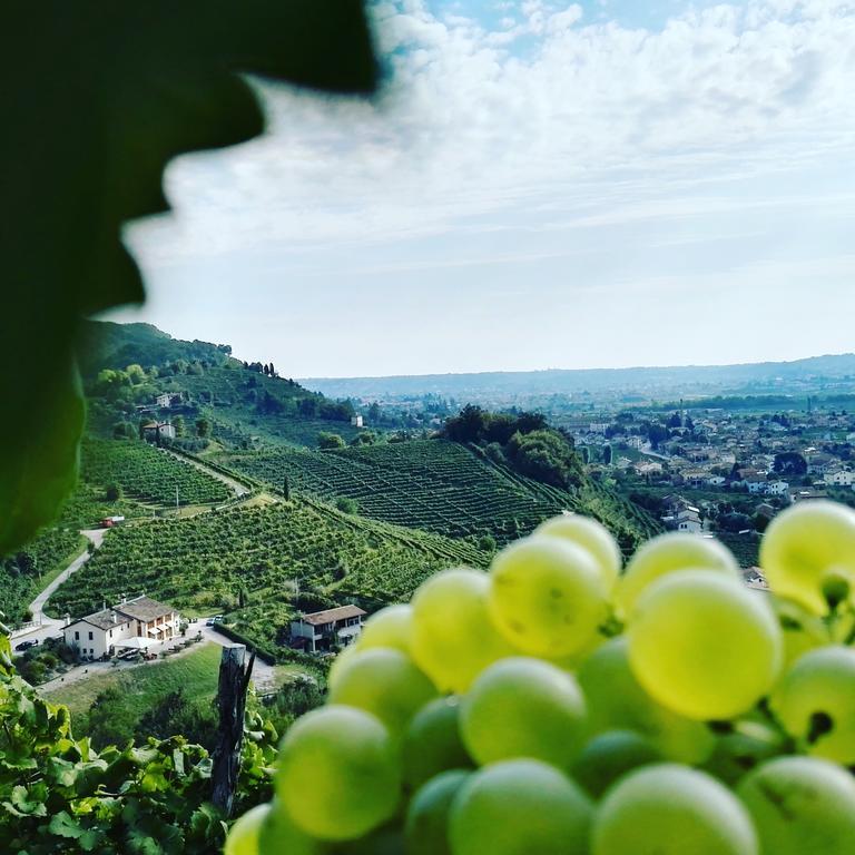Agriturismo Al Credazzo Farra di Soligo Exteriör bild